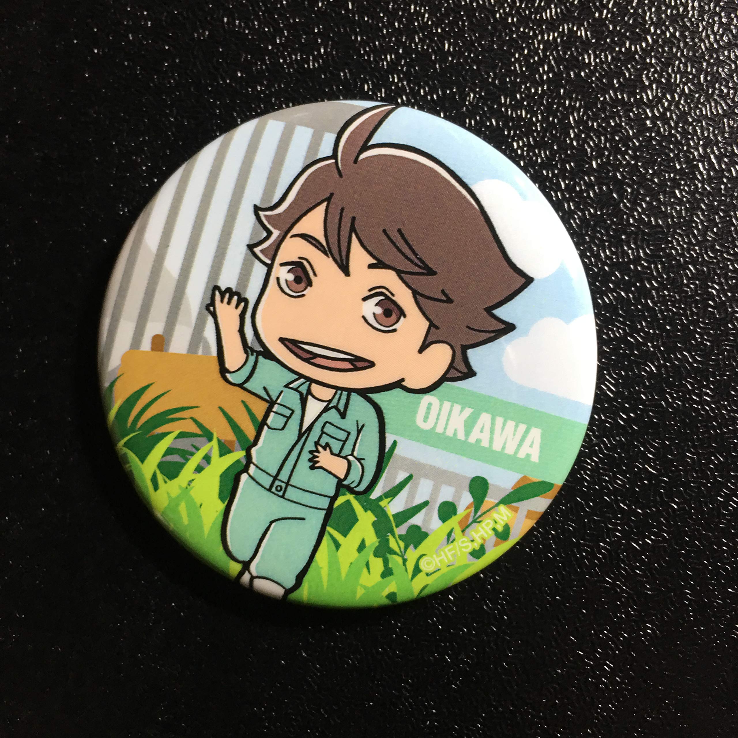 Amazon.co.jp: ハイキュー!! 及川徹 東武動物公園 缶バッジ hai0265